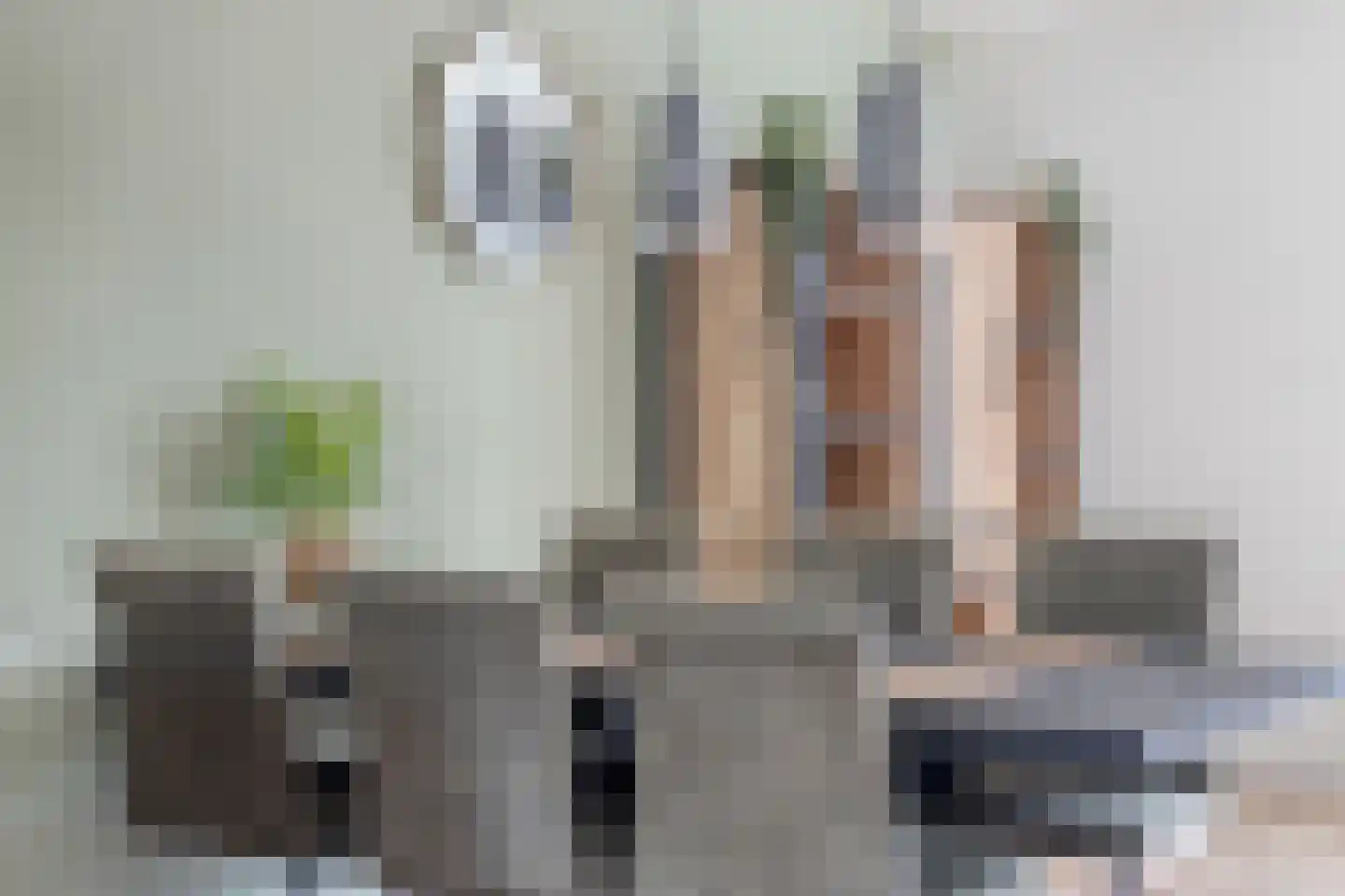 Ir Lelystraat 15 Hulst thumbnail 17