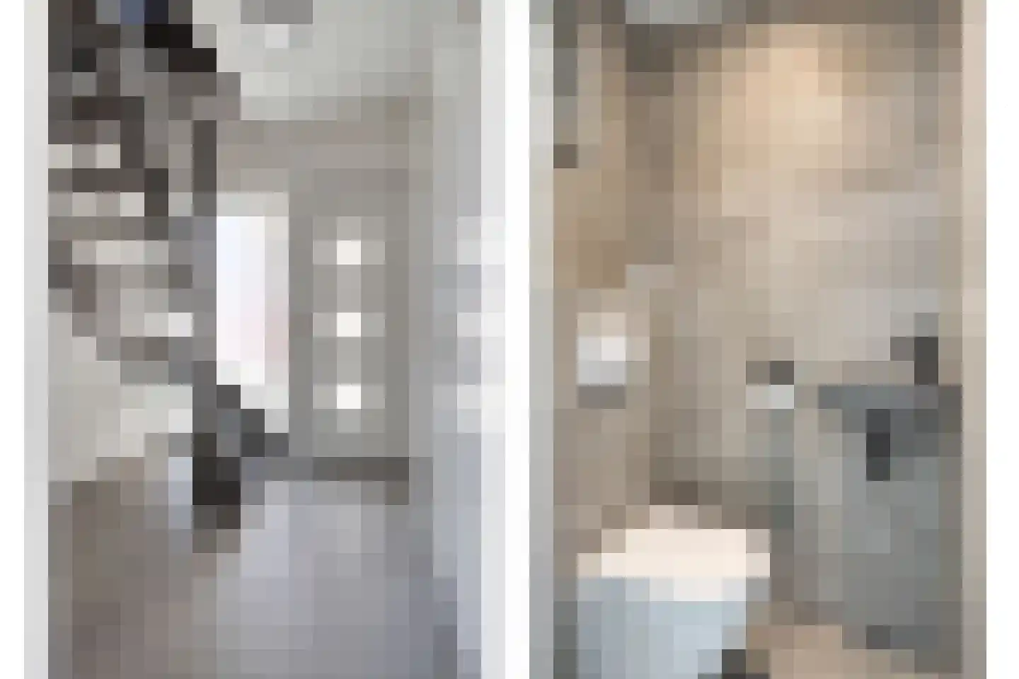 Ir Lelystraat 15 Hulst thumbnail 19