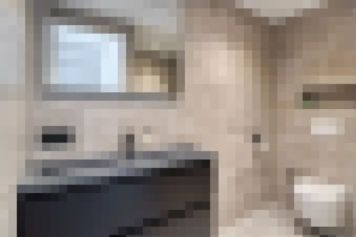 Ir Lelystraat 15 Hulst thumbnail 24