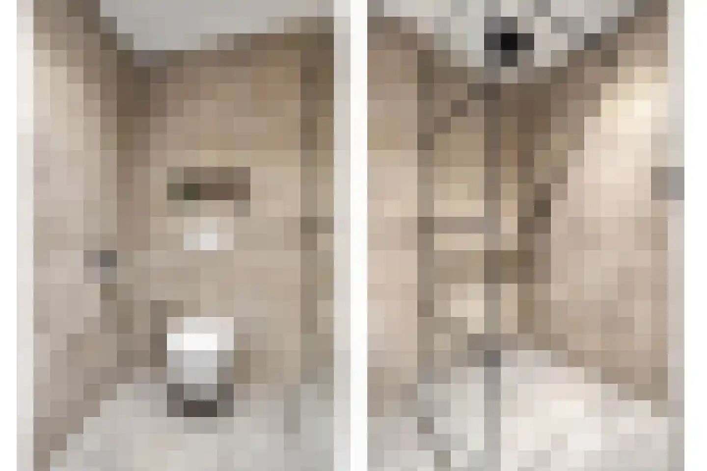 Ir Lelystraat 15 Hulst thumbnail 25