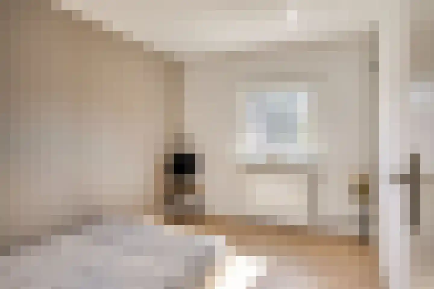 Ir Lelystraat 15 Hulst thumbnail 27