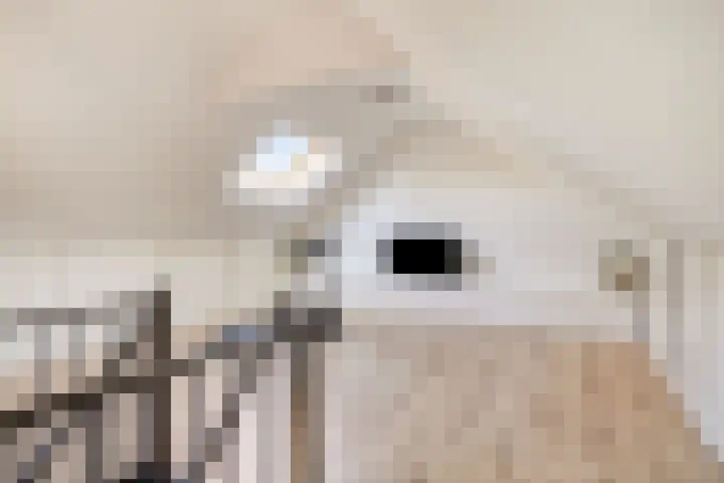 Ir Lelystraat 15 Hulst thumbnail 32