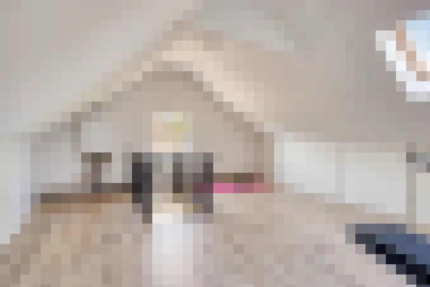 Ir Lelystraat 15 Hulst thumbnail 33