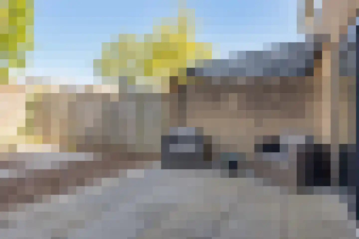 Ir Lelystraat 15 Hulst thumbnail 34