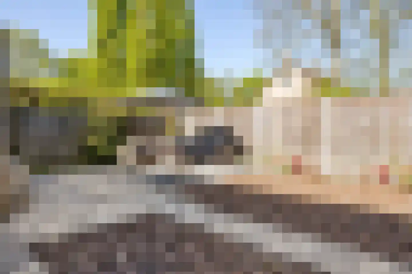 Ir Lelystraat 15 Hulst thumbnail 35
