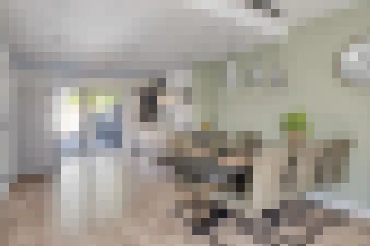 Ir Lelystraat 15 Hulst thumbnail 9