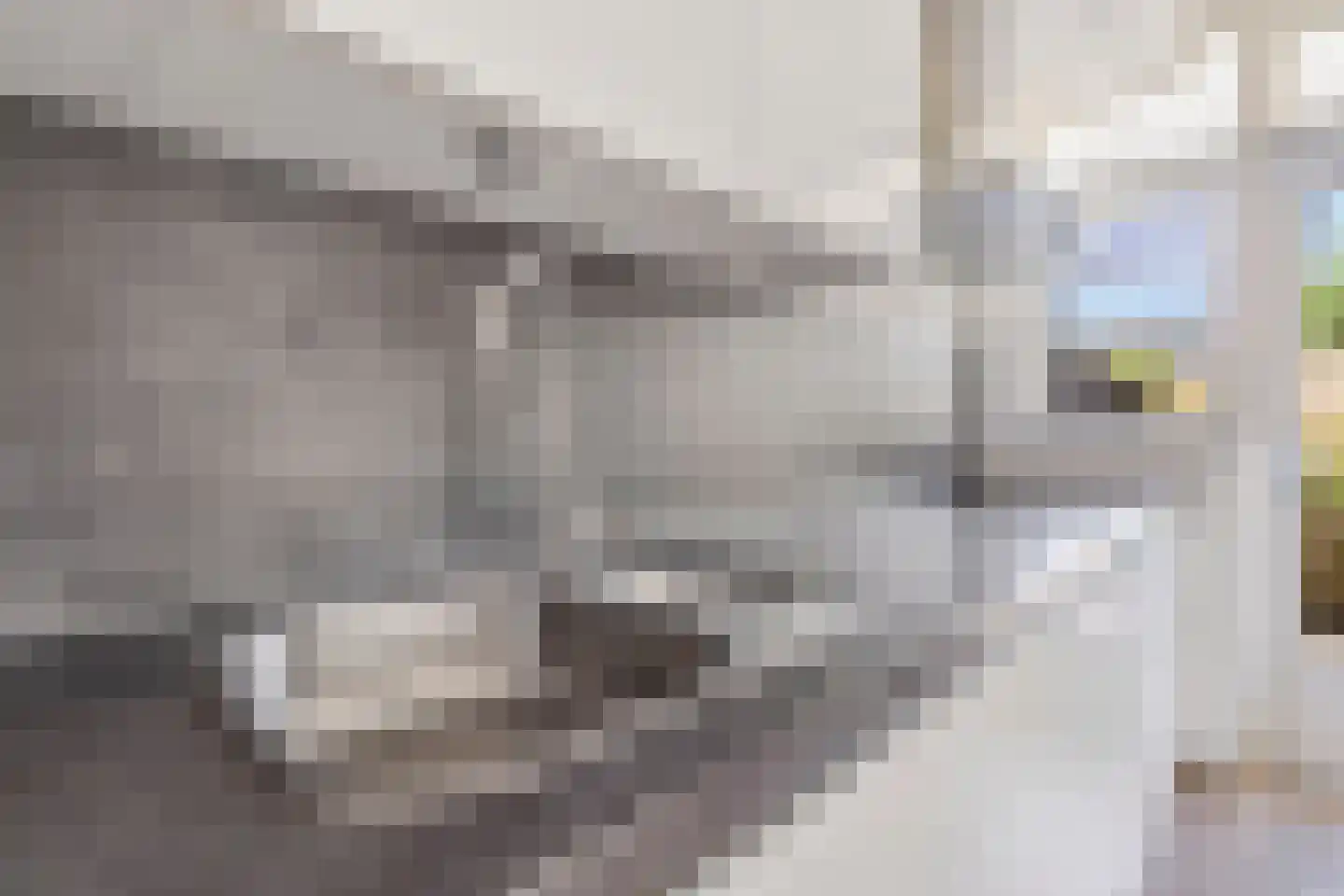 Ir. Lelystraat 150 Heerlen thumbnail 12
