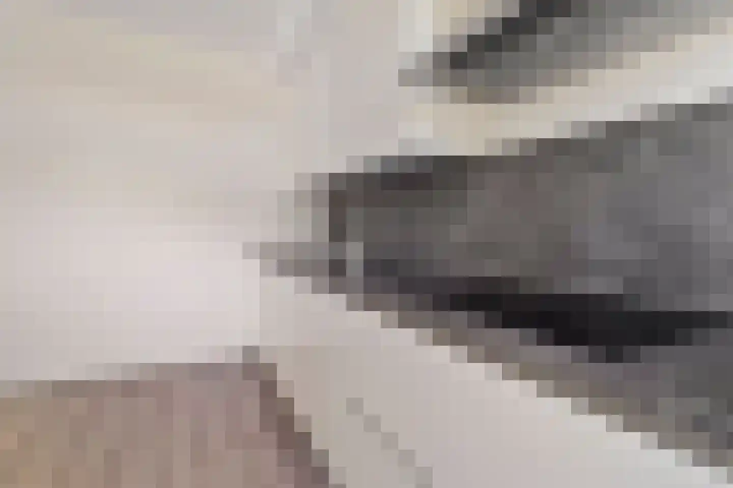 Ir. Lelystraat 150 Heerlen thumbnail 13