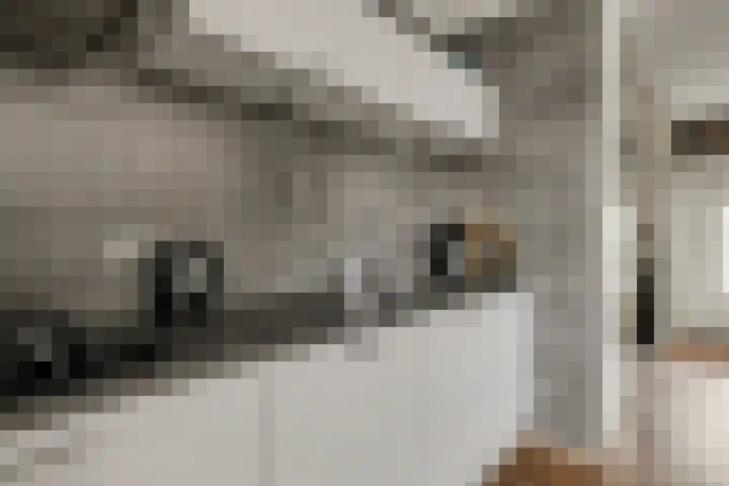 Ir Lelystraat 17 Nieuwerkerk aan den IJssel thumbnail 10
