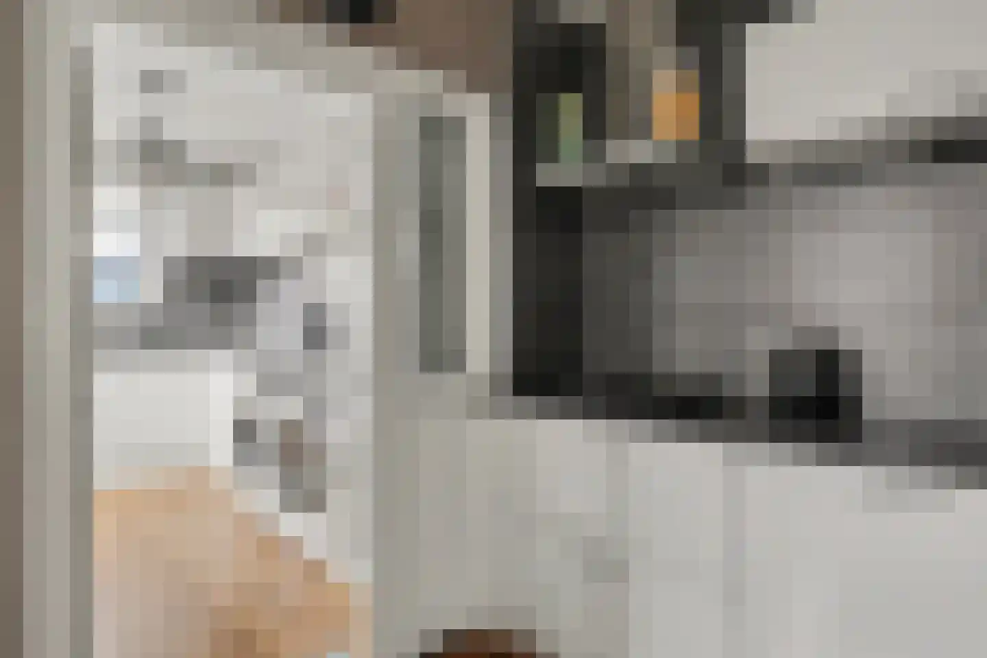 Ir Lelystraat 17 Nieuwerkerk aan den IJssel thumbnail 12
