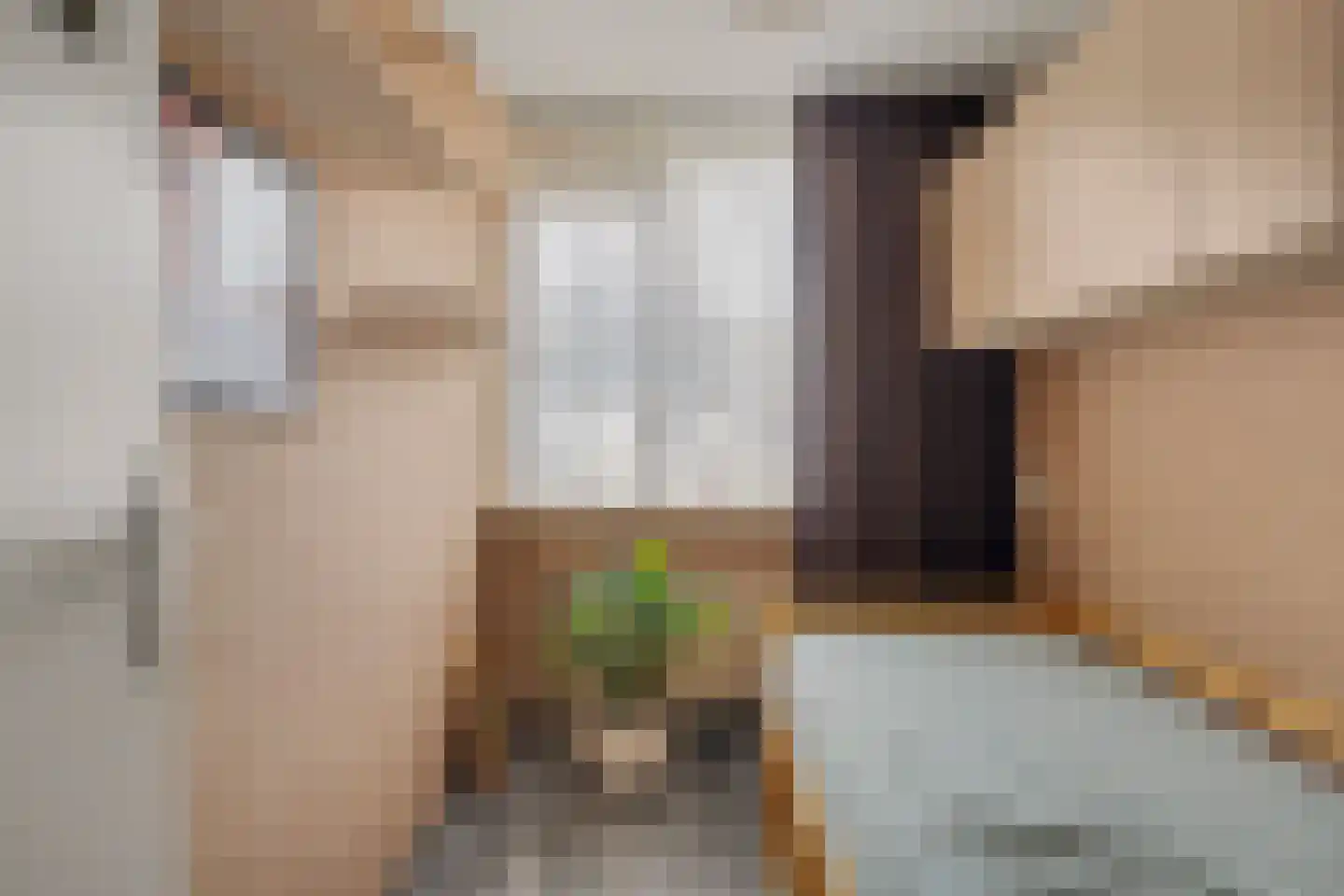 Ir Lelystraat 17 Nieuwerkerk aan den IJssel thumbnail 15