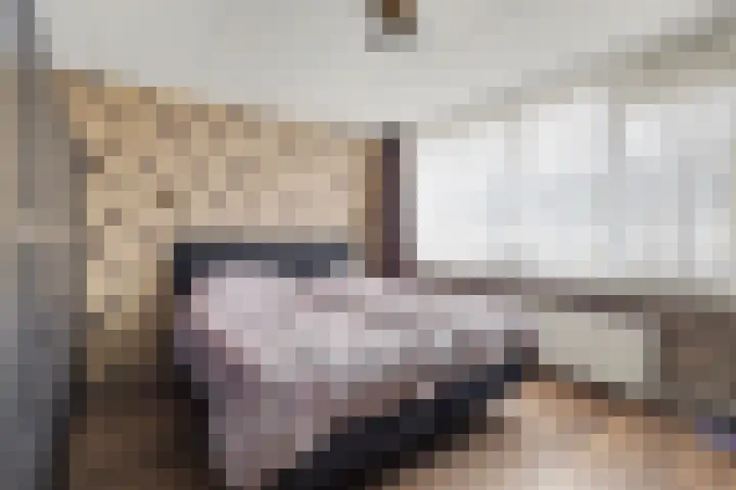 Ir Lelystraat 17 Nieuwerkerk aan den IJssel thumbnail 19
