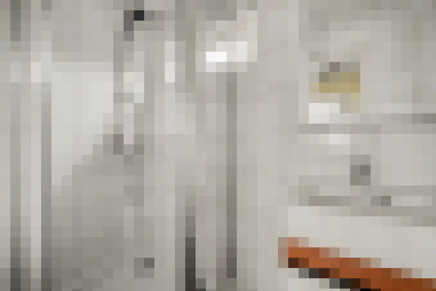 Ir Lelystraat 17 Nieuwerkerk aan den IJssel thumbnail 20
