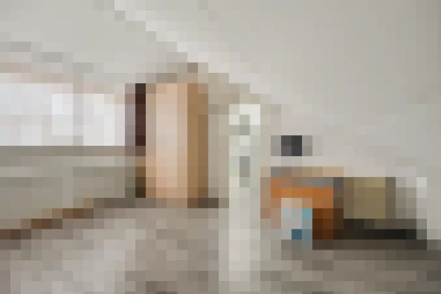 Ir Lelystraat 17 Nieuwerkerk aan den IJssel thumbnail 24