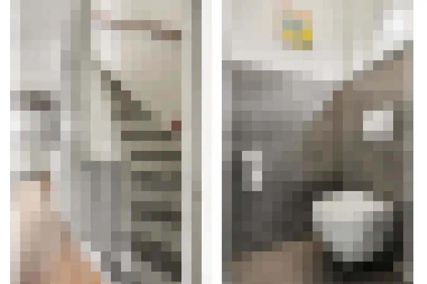 Ir Lelystraat 17 Nieuwerkerk aan den IJssel thumbnail 4