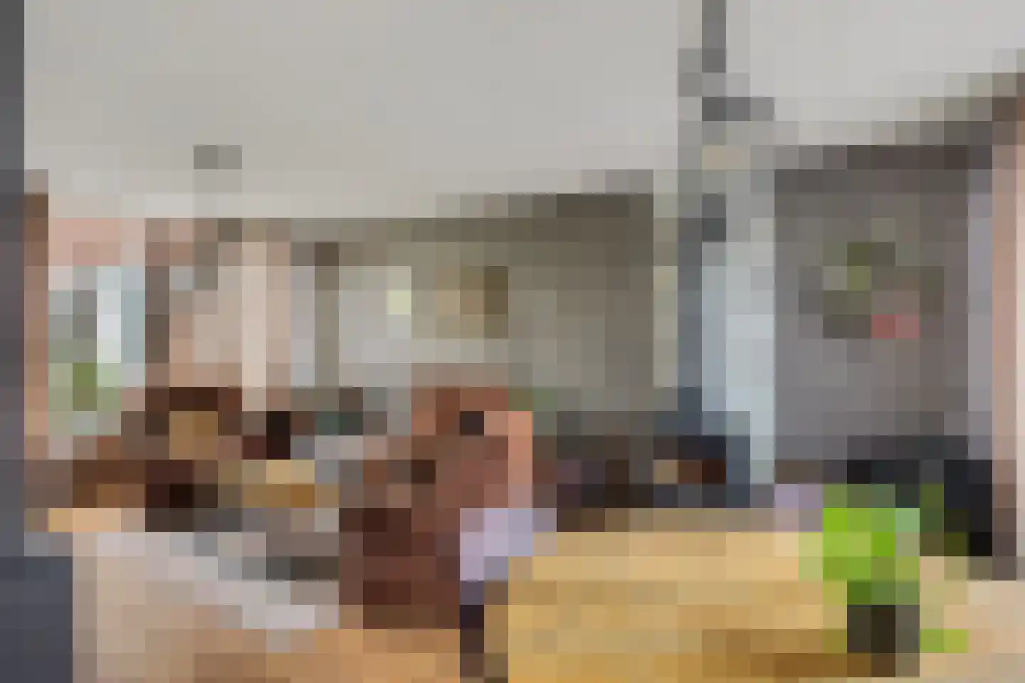 Ir Lelystraat 17 Nieuwerkerk aan den IJssel thumbnail 7