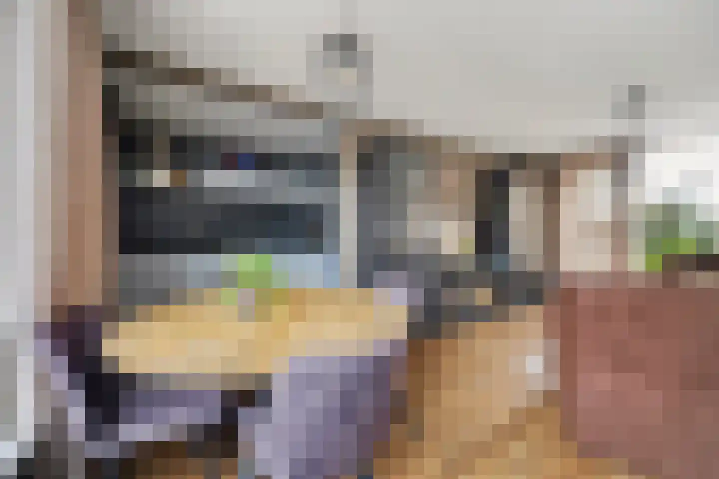 Ir Lelystraat 17 Nieuwerkerk aan den IJssel thumbnail 8