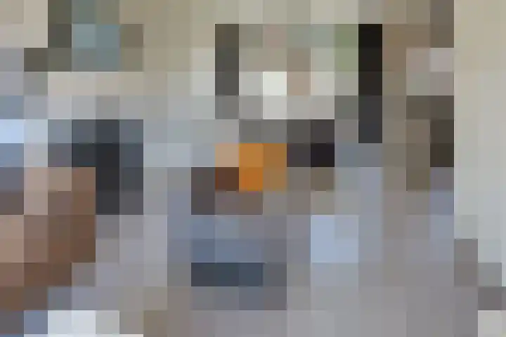 Ir. Lelystraat 23 Harderwijk thumbnail 11