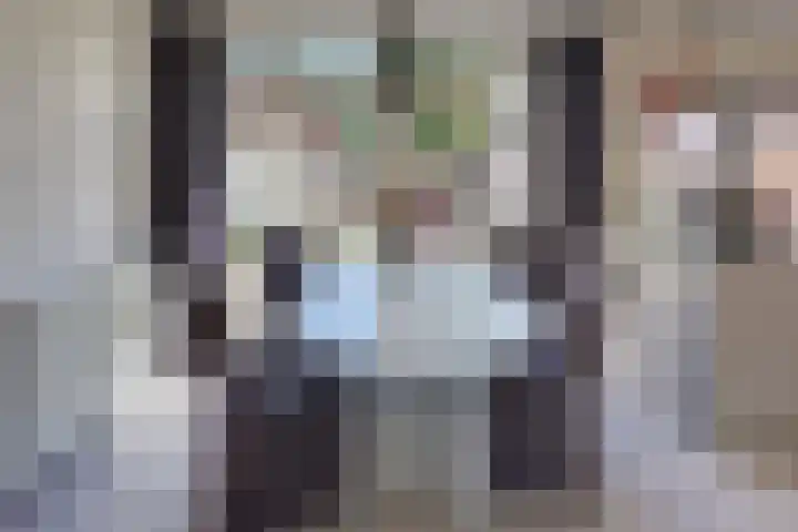 Ir. Lelystraat 23 Harderwijk thumbnail 13