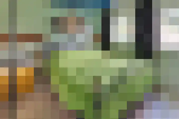 Ir. Lelystraat 23 Harderwijk thumbnail 23