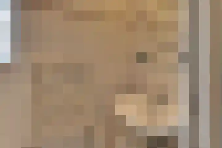 Ir. Lelystraat 23 Harderwijk thumbnail 27