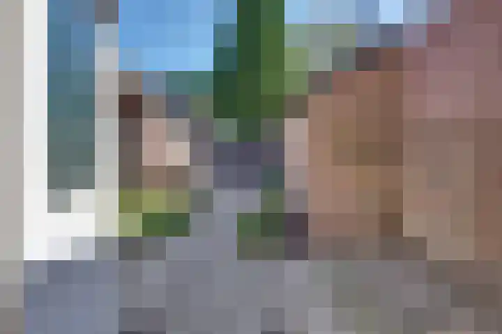 Ir. Lelystraat 23 Harderwijk thumbnail 32