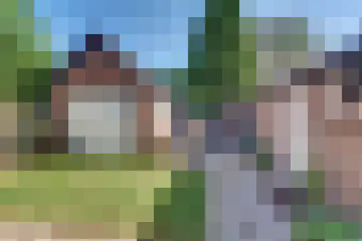Ir. Lelystraat 23 Harderwijk thumbnail 34