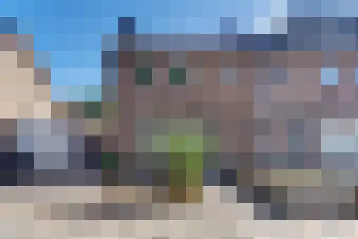 Ir. Lelystraat 23 Harderwijk thumbnail 41
