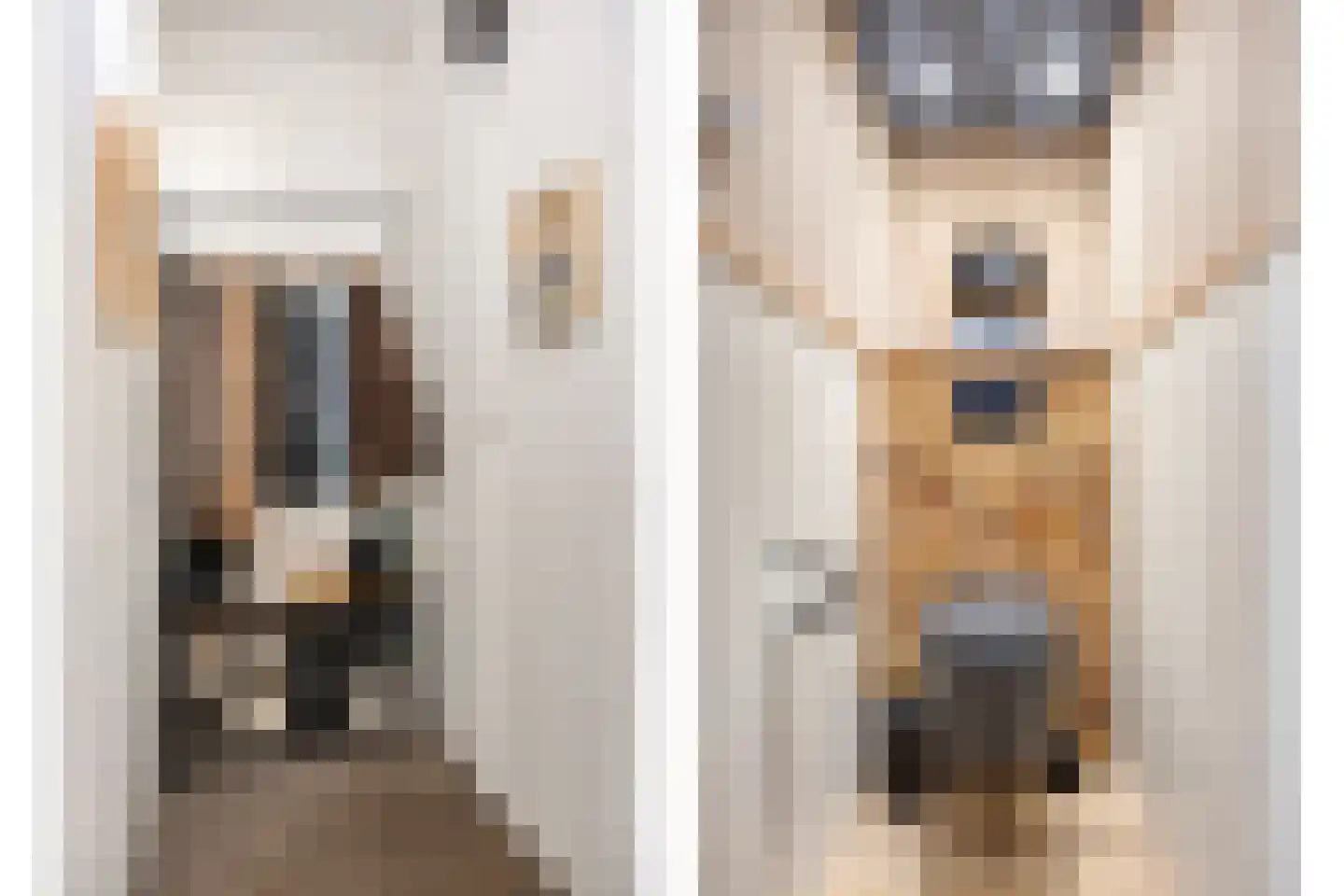 Ir Lelystraat 26 Nieuwerkerk aan den IJssel thumbnail 15