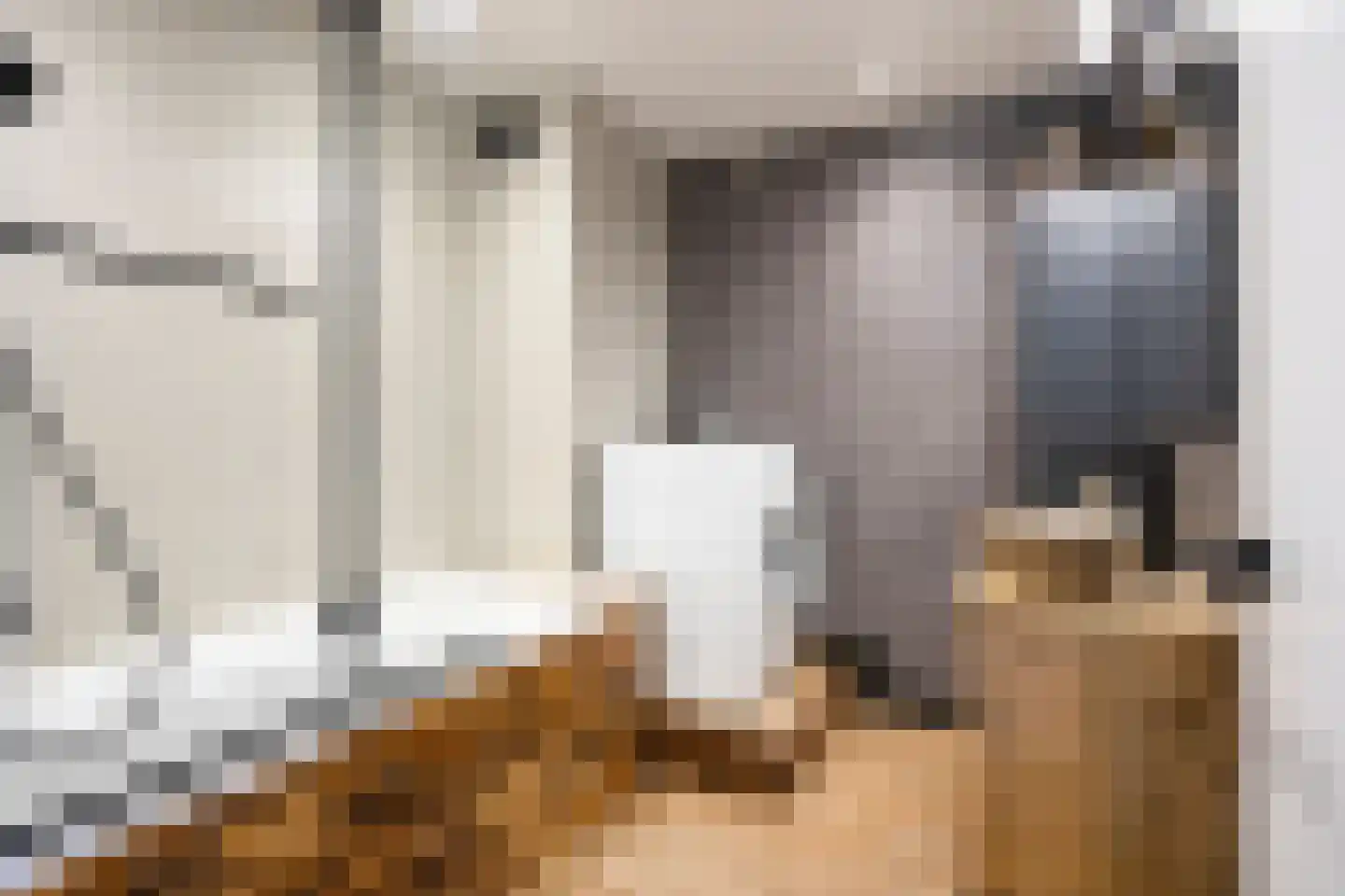 Ir Lelystraat 26 Nieuwerkerk aan den IJssel thumbnail 32
