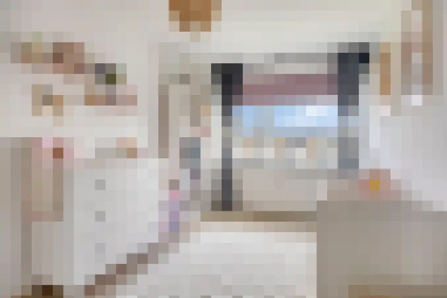 Ir Lelystraat 26 Nieuwerkerk aan den IJssel thumbnail 35