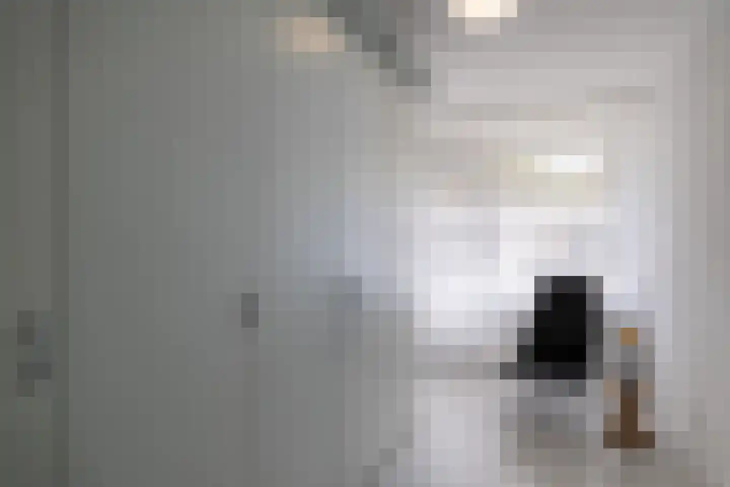 Ir. Lelystraat 28 Heerlen thumbnail 15