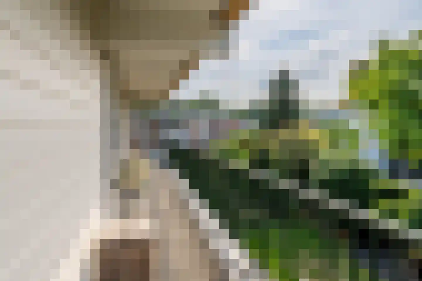 Ir. Lelystraat 28 Heerlen thumbnail 20