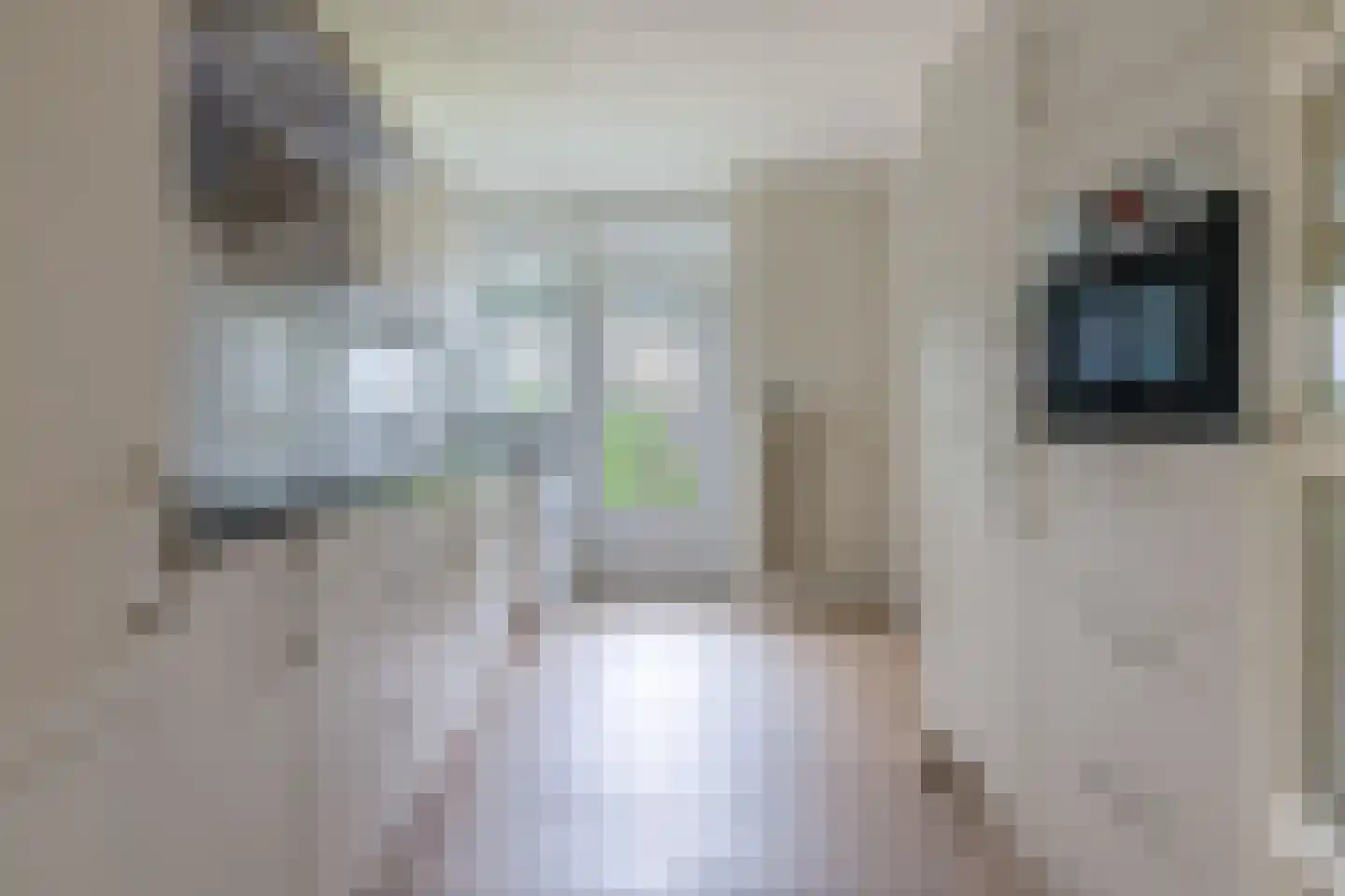 Ir. Lelystraat 38 Heerlen thumbnail 10