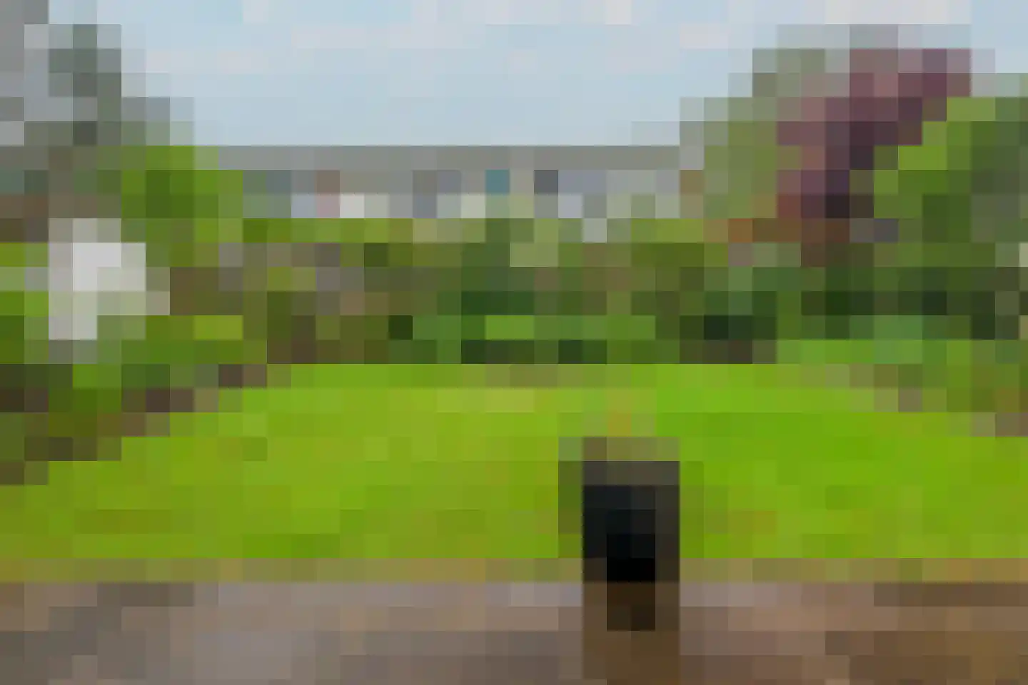 Ir. Lelystraat 38 Heerlen thumbnail 22