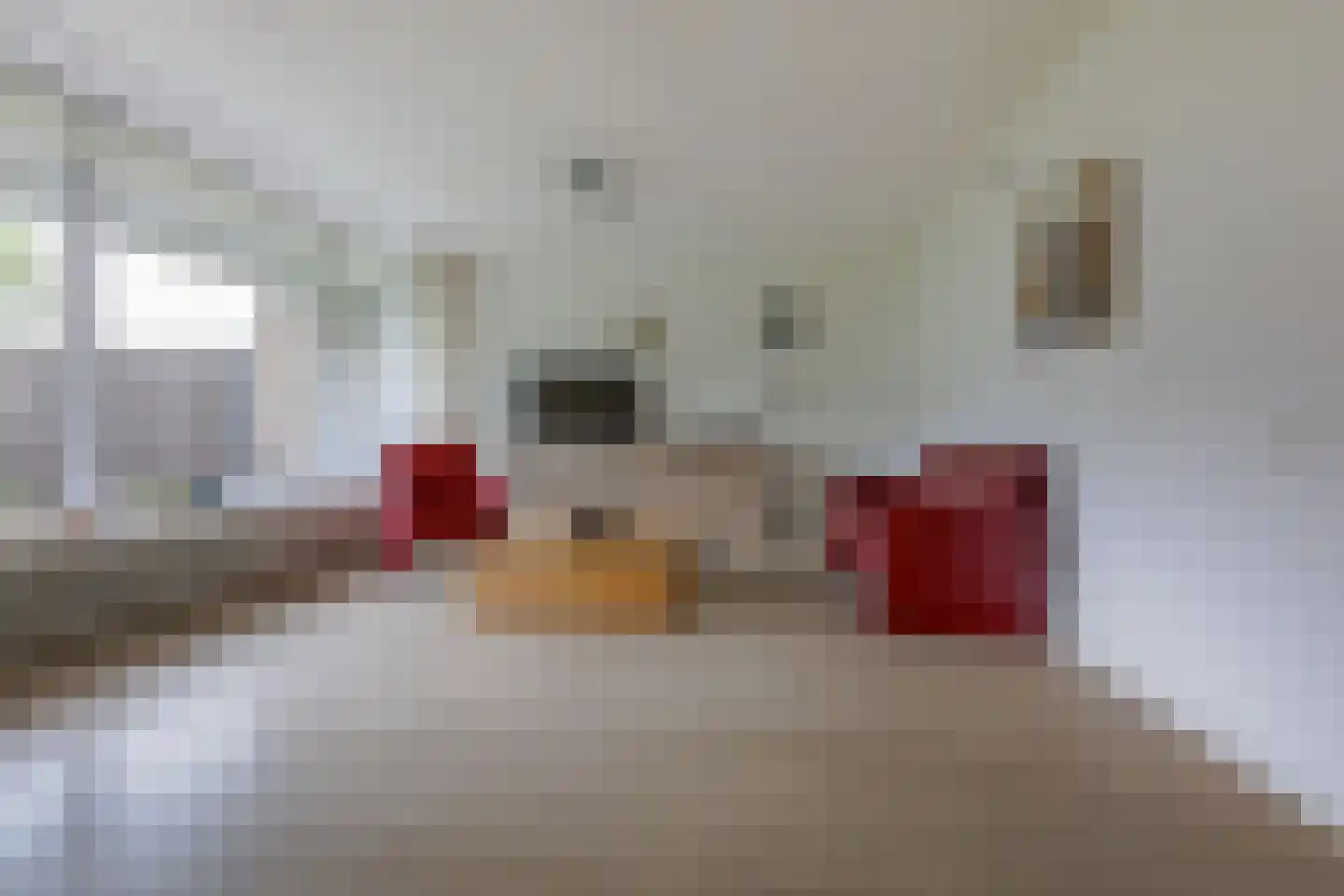 Ir. Lelystraat 38 Heerlen thumbnail 5
