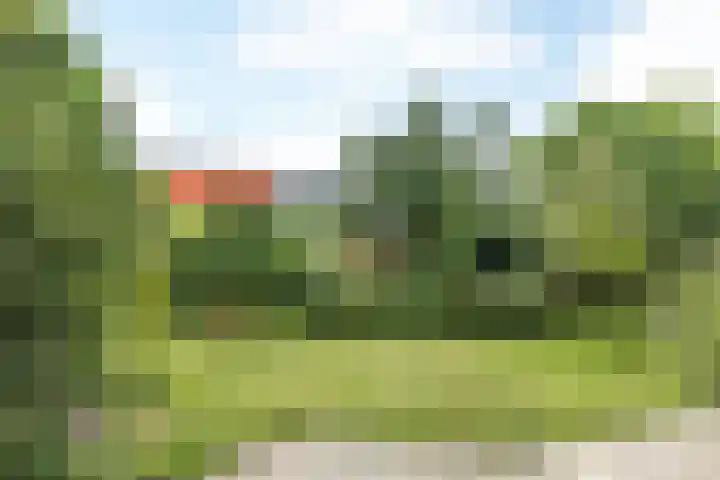 Ir. Lelystraat 62 Heerlen thumbnail 18