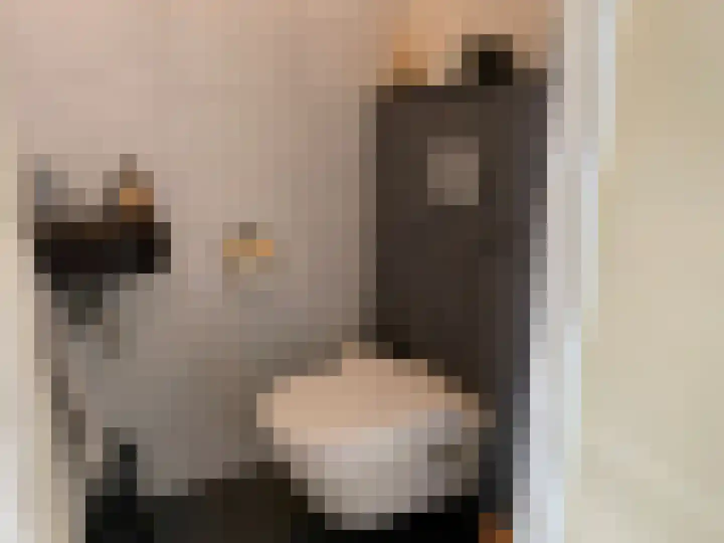 Ir. Lelystraat 73 Heerlen thumbnail 8