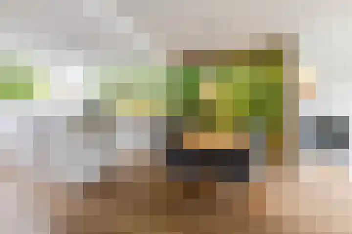 Ir Lelystraat 9 Nieuwerkerk aan den IJssel thumbnail 11