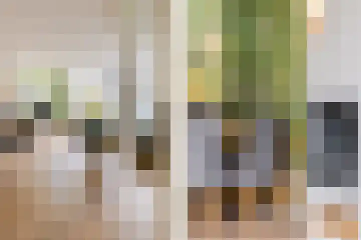 Ir Lelystraat 9 Nieuwerkerk aan den IJssel thumbnail 12