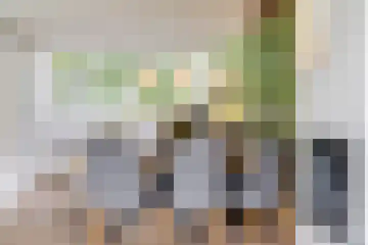 Ir Lelystraat 9 Nieuwerkerk aan den IJssel thumbnail 13