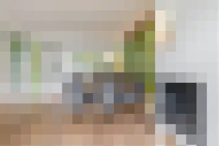 Ir Lelystraat 9 Nieuwerkerk aan den IJssel thumbnail 14