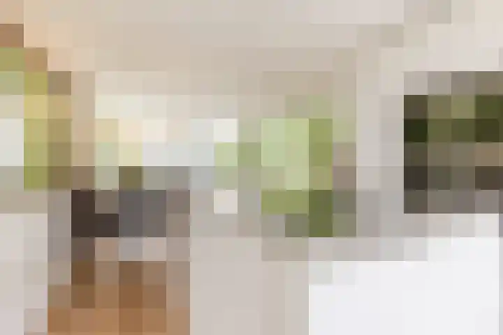 Ir Lelystraat 9 Nieuwerkerk aan den IJssel thumbnail 16