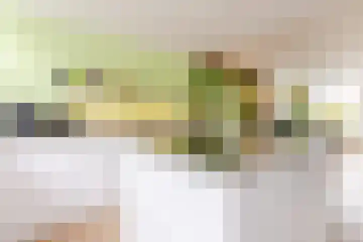 Ir Lelystraat 9 Nieuwerkerk aan den IJssel thumbnail 17