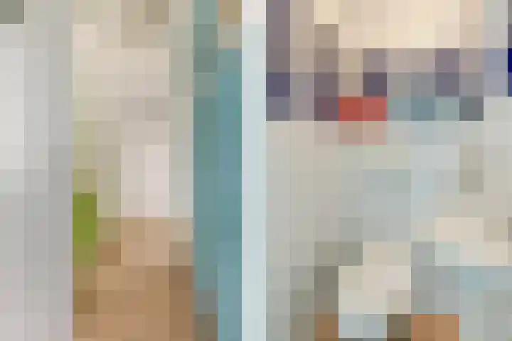 Ir Lelystraat 9 Nieuwerkerk aan den IJssel thumbnail 18