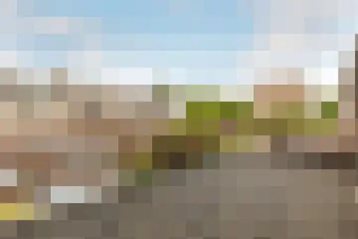Ir Lelystraat 9 Nieuwerkerk aan den IJssel thumbnail 22