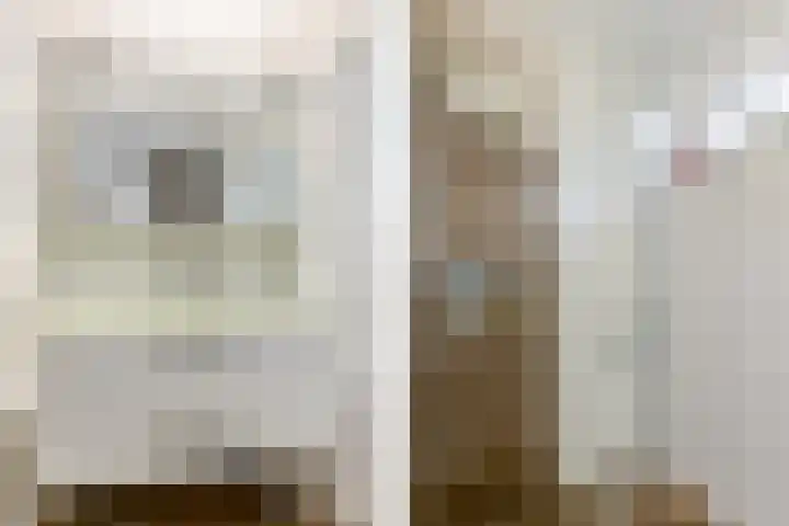 Ir Lelystraat 9 Nieuwerkerk aan den IJssel thumbnail 24