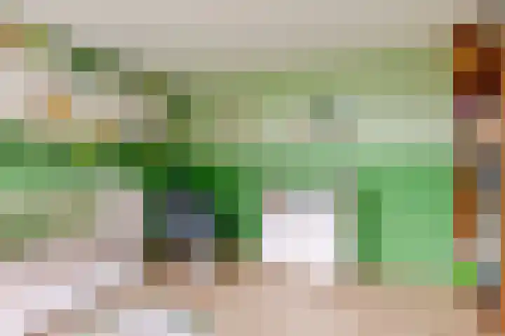 Ir Lelystraat 9 Nieuwerkerk aan den IJssel thumbnail 26