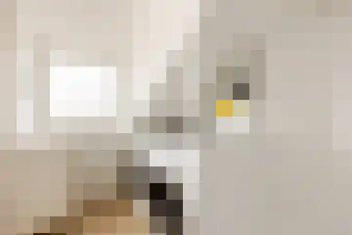 Ir Lelystraat 9 Nieuwerkerk aan den IJssel thumbnail 27