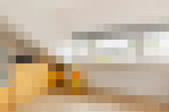 Ir Lelystraat 9 Nieuwerkerk aan den IJssel thumbnail 29